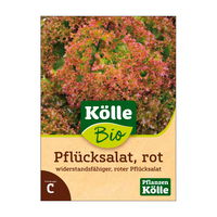 Kölle Bio Gemüsesamen Pflücksalat rot