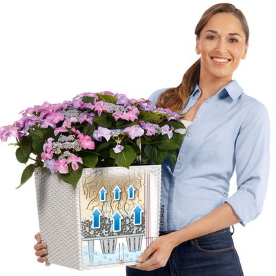 Lechuza 'Cube Cottage 50', sandbraun, ca. 49 x 49 x H 49,5 cm