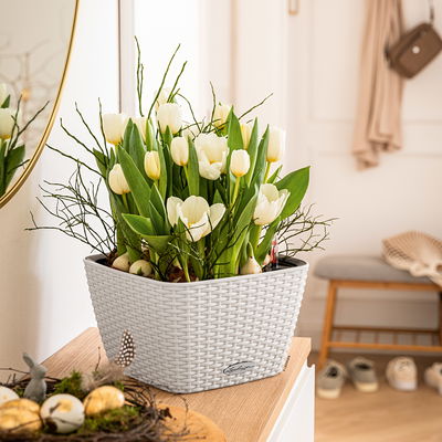 Lechuza 'Bacino Cottage', lichtgrau, ca. 30 x 30 x H 18 cm Lechuza 'Bacino Cottage', lichtgrau, ca. 30 x 30 x H 18 cm