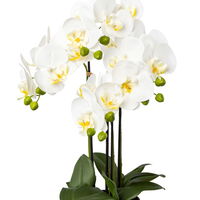 Kunstpflanze Phalaenopsis im Topf, Höhe ca. 55 cm