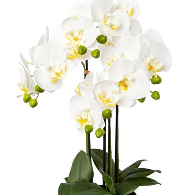 Kunstpflanze Phalaenopsis, weiß, Höhe ca. 55 cm