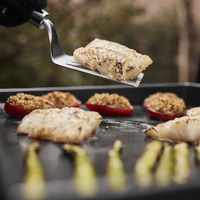 Weber Griddle, Premium-Plancha 56 cm, schwarz