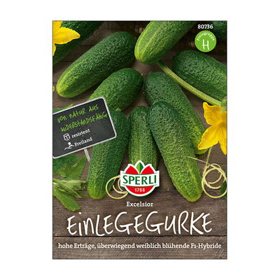 Gemüsesamen, Einlegegurken 'Excelsior' Gemüsesamen, Einlegegurken 'Excelsior'