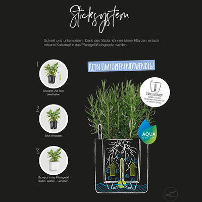 Lechuza 'Green Wall Home Kit Glossy', anthrazit highgloss