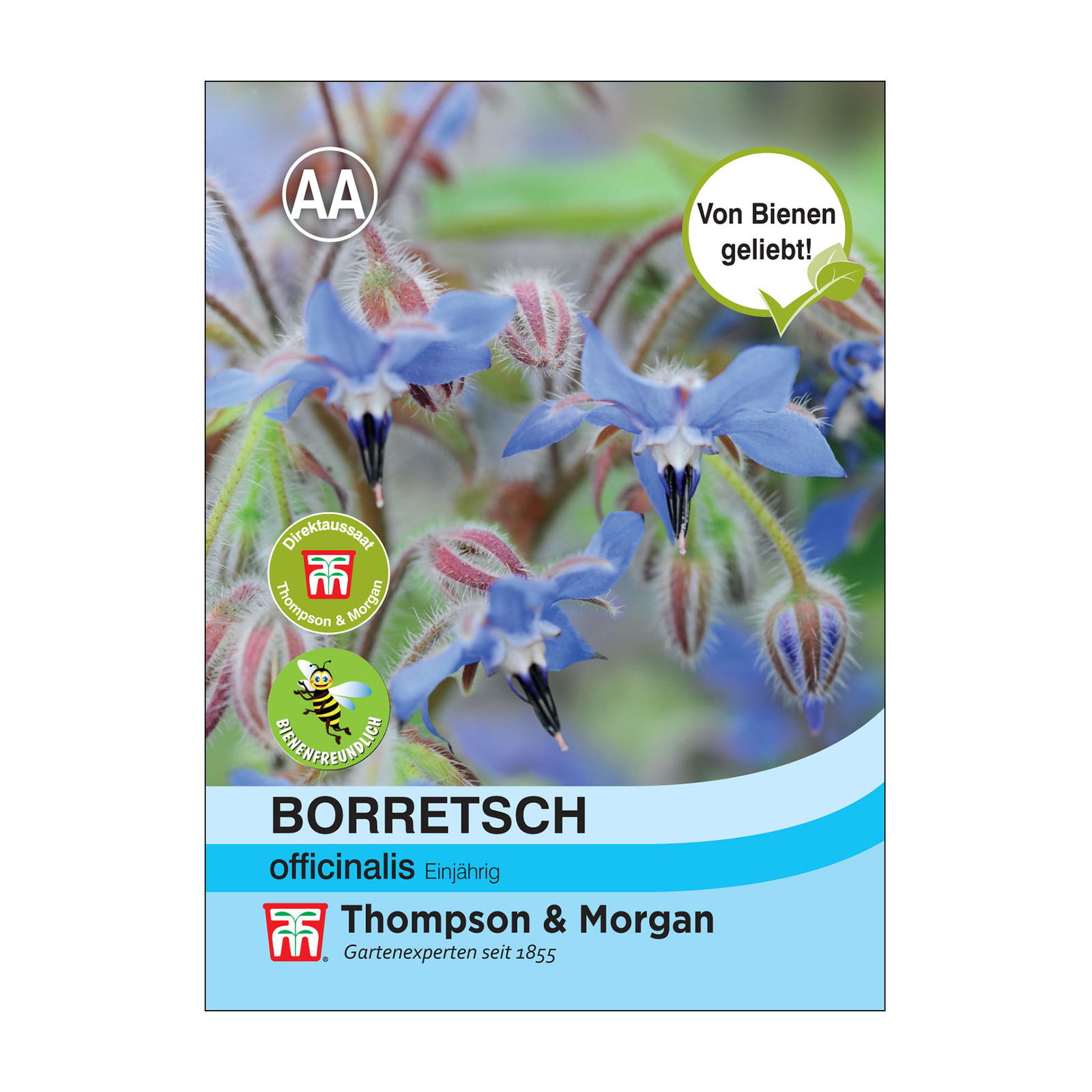 Blumensamen Borretsch, blau-lila