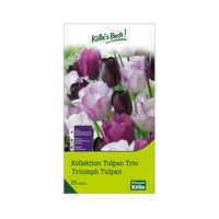 Tulpenmischung 'Trio' aus Negrita, Queen of Night & Shirley, 25 Blumenzwiebeln
