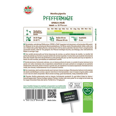 Saatgut Pfefferminze 'Sperli’s Pfeffi' Saatgut Pfefferminze 'Sperli’s Pfeffi'