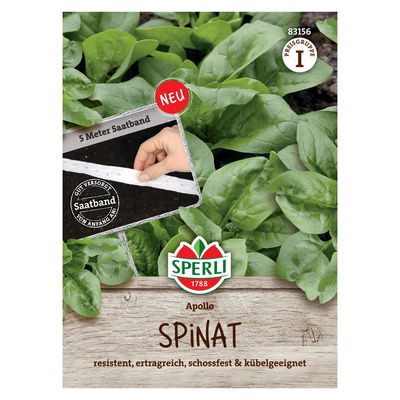Saatband Spinat 'Apollo'