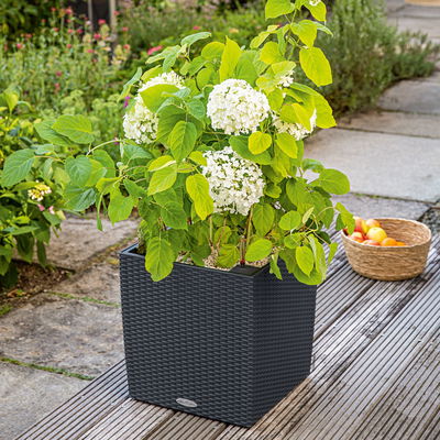 Lechuza 'Cube Cottage 40', graphitschwarz, ca. 39 x 39 x H 40 cm Lechuza 'Cube Cottage 40', graphitschwarz, ca. 39 x 39 x H 40 cm