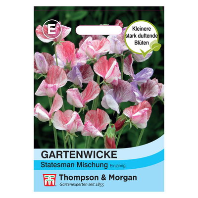 Thompson & Morgan Blumensamen Gartenwicke 