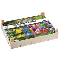 Big-Box Blumenzwiebeln '5 Monate Blume', 120 Blumenzwiebeln