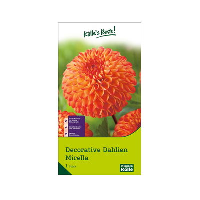 Decorative Dahlie 'Mirella', gelb-orange, Größe 1, 1 Blumenknolle