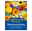 Blumensamenmischung, Wild- und Gartenblumen, bunt