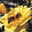 Bodendeckerrose 'Bienenweide'®, gelb, Topf 3 Liter