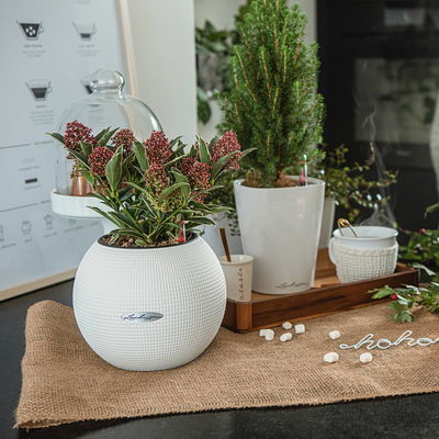 Lechuza 'Puro Color 20', weiß, ca. Ø 20 x H 16 cm