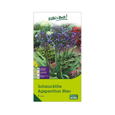Schmucklilie (Agapanthus) blau, 3 Blumenzwiebeln Schmucklilie (Agapanthus) blau, 3 Blumenzwiebeln