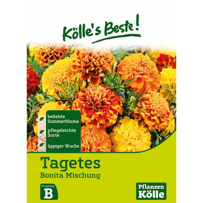 Kölles Beste Blumensamen Studentenblume Kölles Beste Blumensamen Studentenblume