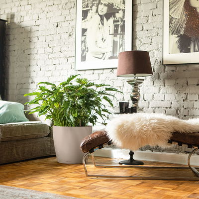 Lechuza 'Classico Color 43', sandbraun, ca. Ø 42 x H 39,5 cm Lechuza 'Classico Color 43', sandbraun, ca. Ø 42 x H 39,5 cm