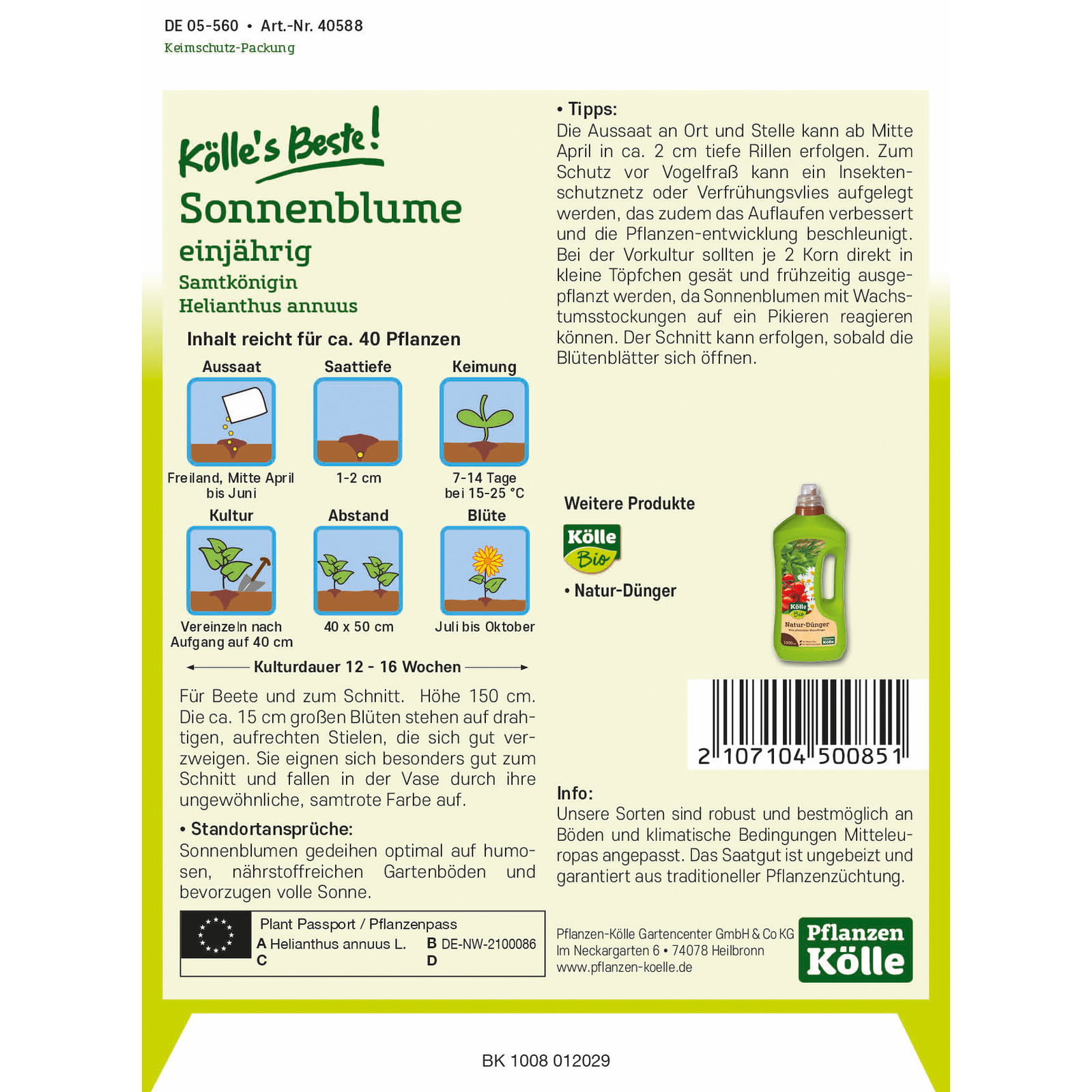 Kölle's Beste Blumensamen Sonnenblume 