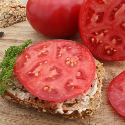 Blu Bio Salat-Tomatenpflanze 'Rose Crush F1', Topf-Ø 12 cm, 6er-Set