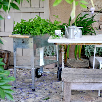 Hochbeet-Trolley mit Rädern, silber, Metall, 75 x 35 x 80 cm, 47 l Hochbeet-Trolley mit Rädern, silber, Metall, 75 x 35 x 80 cm, 47 l