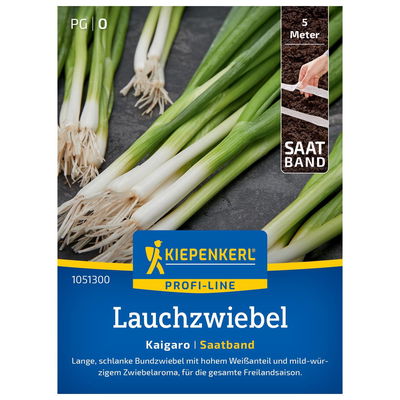 Saatband, Lauchzwiebel 'Kaigaro'