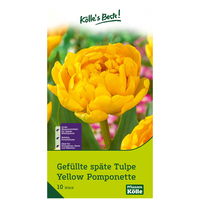 Kölle's Beste Tulpe 'Yellow Pomponette®', gelb, 10 Blumenzwiebeln