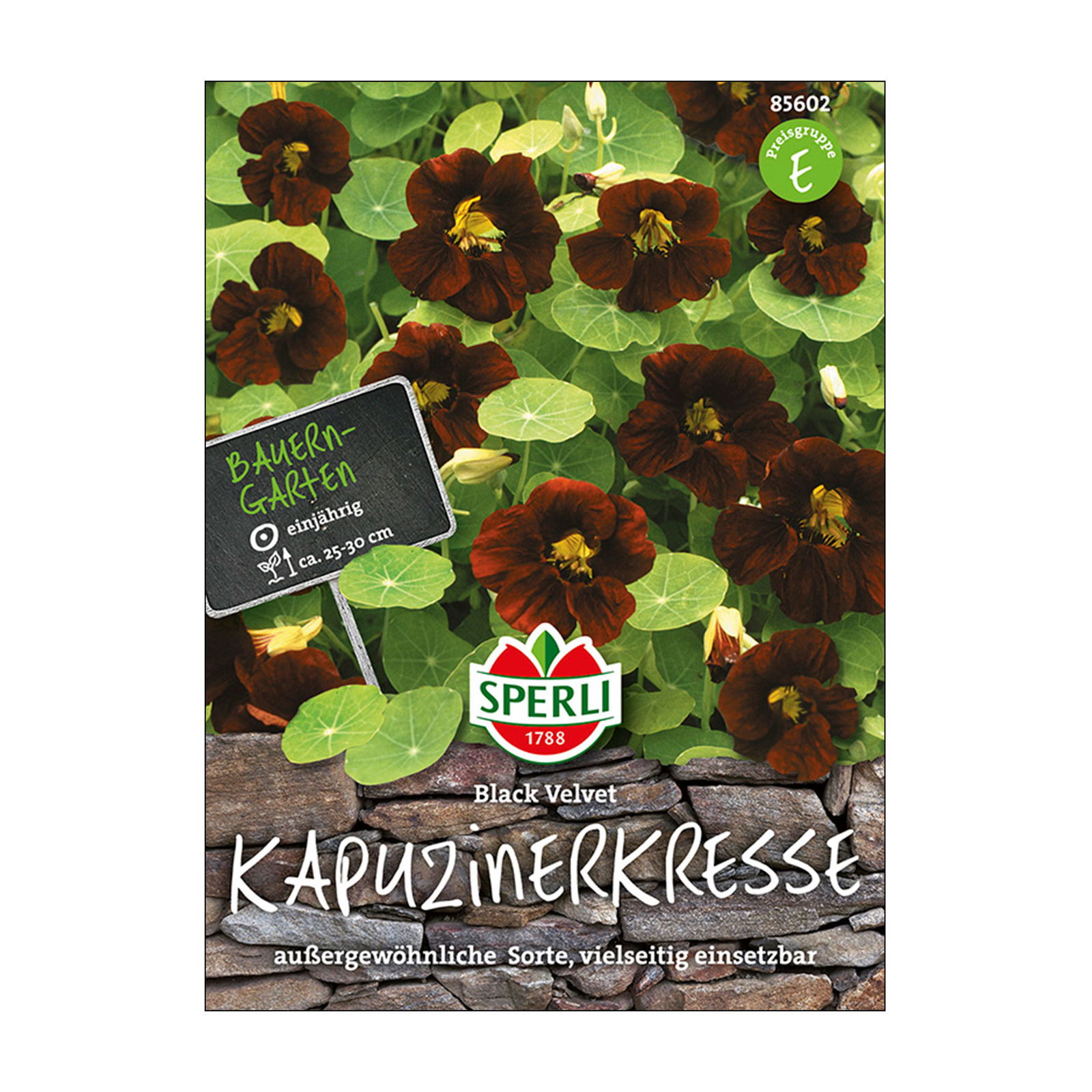 Blumensamen, Kapuzinerkresse 'Black Velvet'