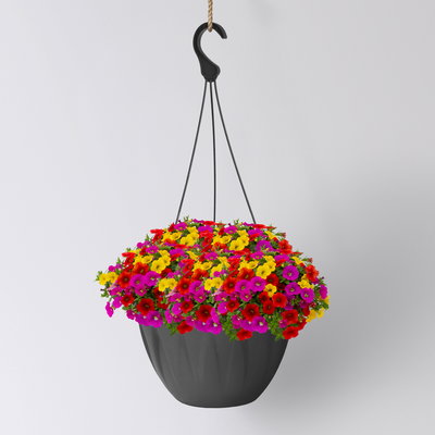 Zauberglöckchen 'MixMasters® Candyhouse', pink-rot-gelb, Ampeltopf-Ø 27 cm