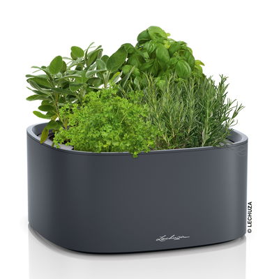 Lechuza 'Pila Color', schiefergrau, ca. 35 x 35 x H 16,5 cm