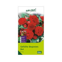 Gefüllte Begonie, rot, 3 Blumenknollen