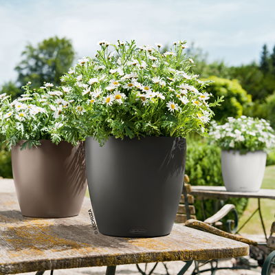 Lechuza 'Classico Color 43', schiefergrau, ca. Ø 42 x H 39,5 cm Lechuza 'Classico Color 43', schiefergrau, ca. Ø 42 x H 39,5 cm