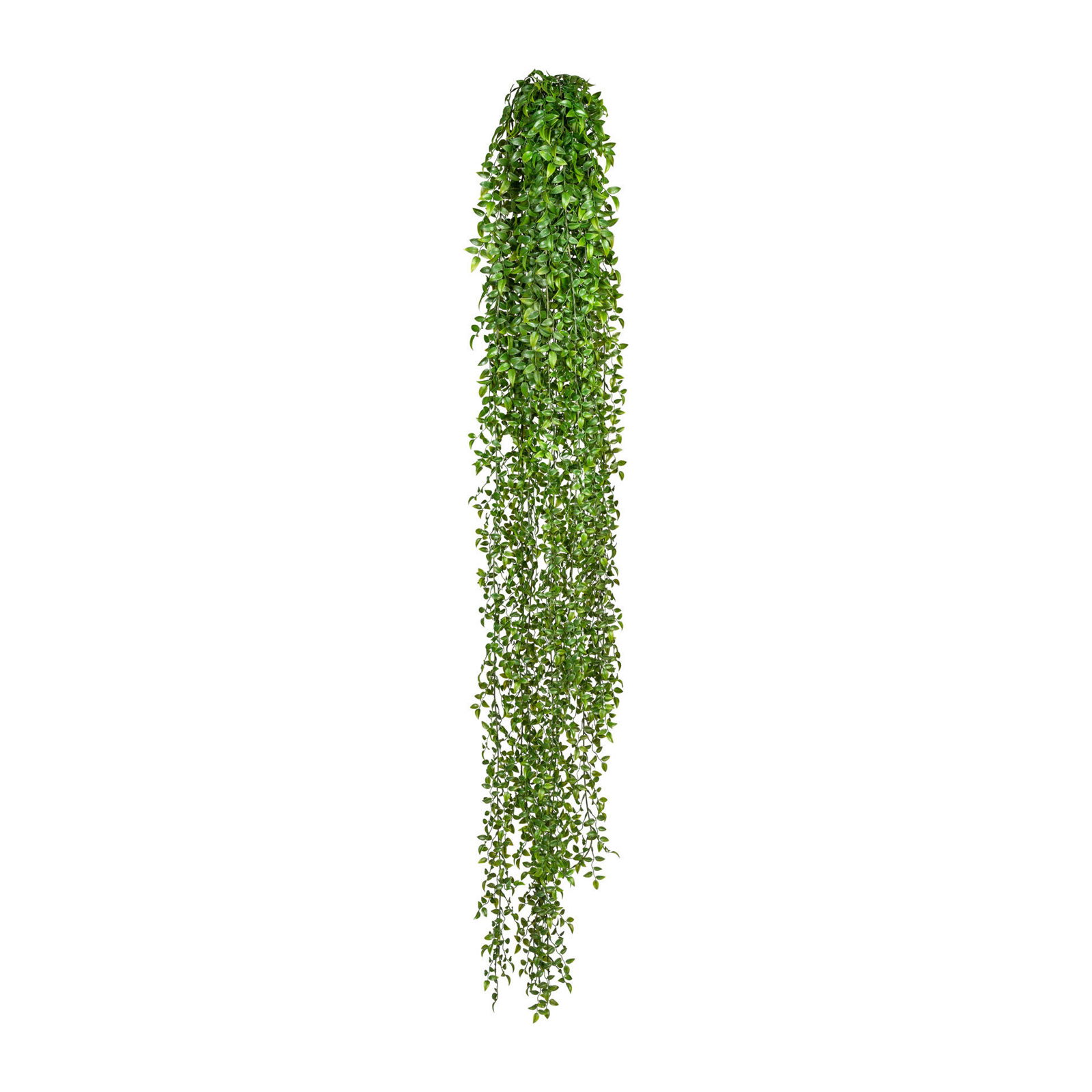 Kunstpflanze Ruscus-Hänger, 9 Stränge, Höhe ca. 160 cm
