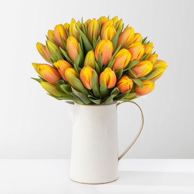 50 rot/gelbe Tulpen 50 rot/gelbe Tulpen