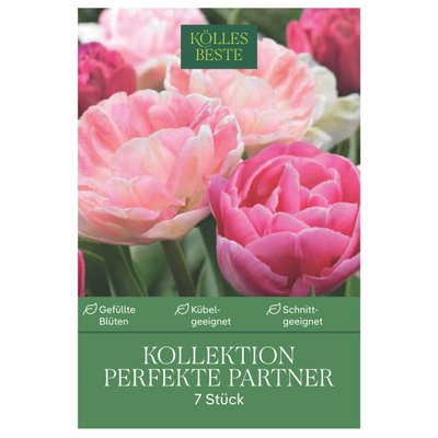 Kölles Beste Tulpen-Kollektion 'Perfekte Partner®', rosa, 7 Blumenzwiebeln Kölles Beste Tulpen-Kollektion 'Perfekte Partner®', rosa, 7 Blumenzwiebeln
