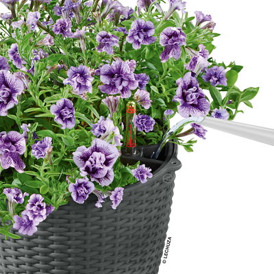 Lechuza 'Nido Cottage 35', granit, ca. Ø 35 x H 23 cm