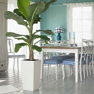 Lechuza 'Cubico Color 30', weiß, ca. 29,5 x 29,5 x H 56,5 cm Lechuza 'Cubico Color 30', weiß, ca. 29,5 x 29,5 x H 56,5 cm