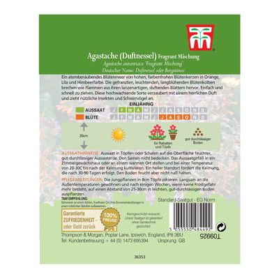 Samenmischung, Agastache, Duftnessel, 'Fragrant', orange-lila-himbeere Samenmischung, Agastache, Duftnessel, 'Fragrant', orange-lila-himbeere
