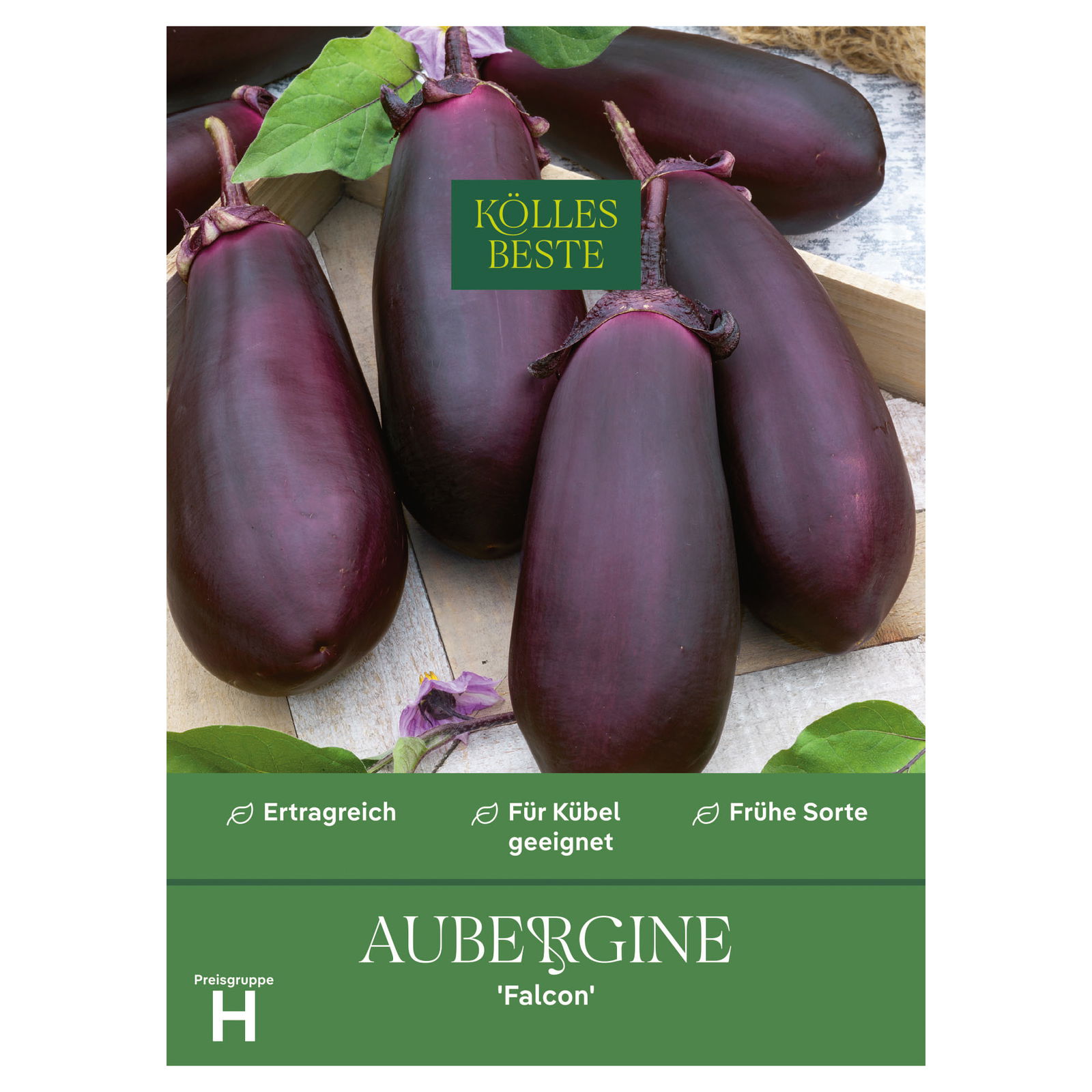 Kölles Beste Saatgut Aubergine 'Falcon', lila