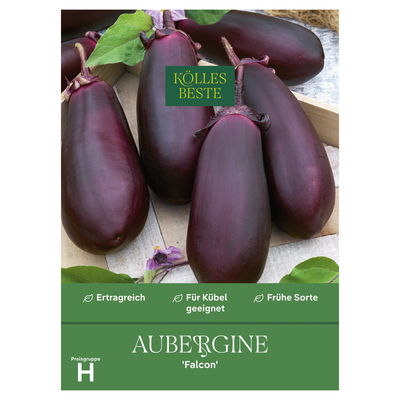 Kölles Beste Saatgut Aubergine 'Falcon', lila