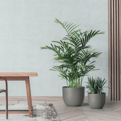 Euro 3 Plast Pflanzkübel 'Rio', taupe, ca. Ø 39 x H 32,5 cm