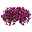 Petunie 'Cascadias™ Rim Cherry' rot-gelb, hängend, Ampeltopf-Ø 25/27 cm