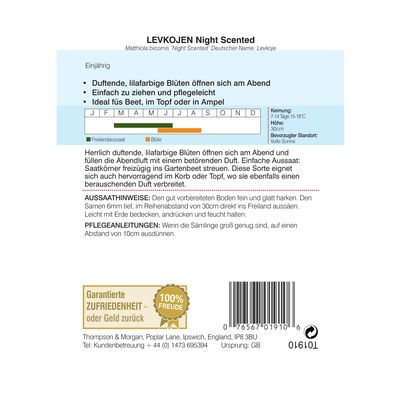 Levkoje Night Scented, idealer Beet- und Rabattenfüller, herrlich duftend, lila Levkoje Night Scented, idealer Beet- und Rabattenfüller, herrlich duftend, lila