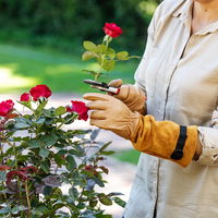 Felco Arbeitshandschuh mit Stulpe, beige, Gr. L Felco Arbeitshandschuh mit Stulpe, beige, Gr. L