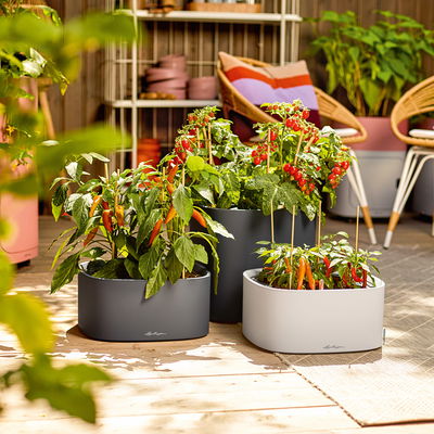 Lechuza 'Pila Color', schiefergrau, ca. 35 x 35 x H 16,5 cm