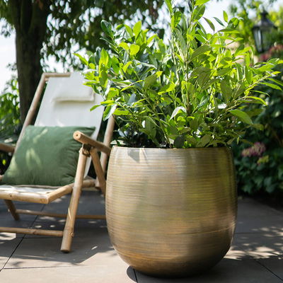 Kölle Pflanzgefäß 'Rowen', gold, 4-teiliges Set