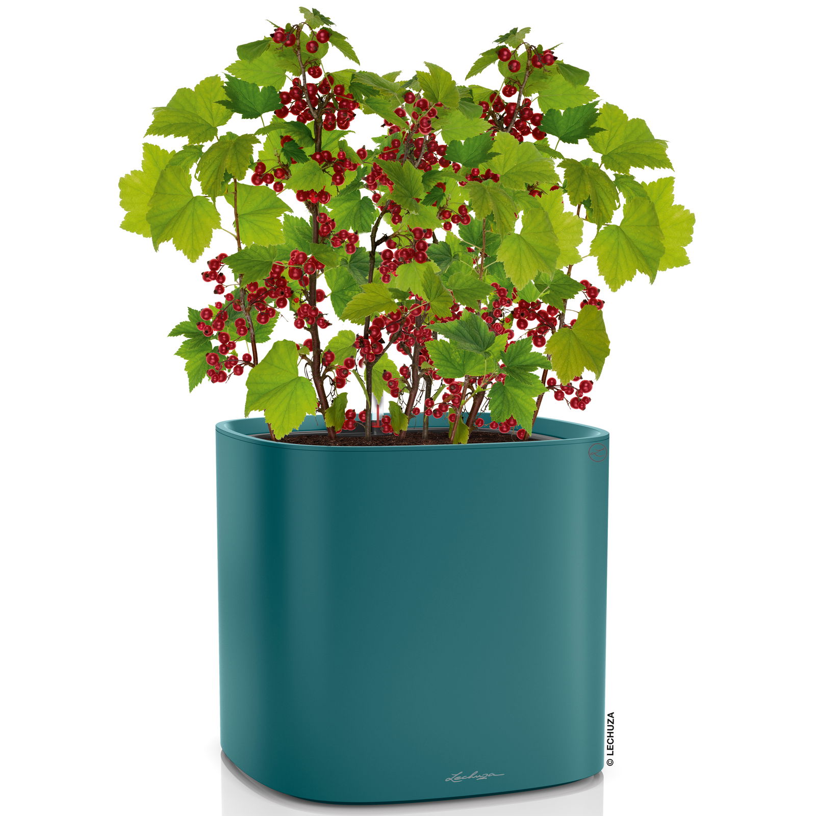 Lechuza 'Pila Color Planter', petrolblau, 35 x 35 x H 32,5 cm