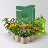 Pflanzenkreation 'No Mosquito', 6 Pflanzen inkl. Erde und Dünger