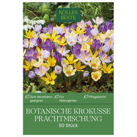 botanische Krokusse 'Prachtmischung', Farbmix, 50 Blumenzwiebeln