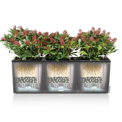 Lechuza 'Trio Cottage 40', weiß, ca. 130 x 42 x H 44 cm